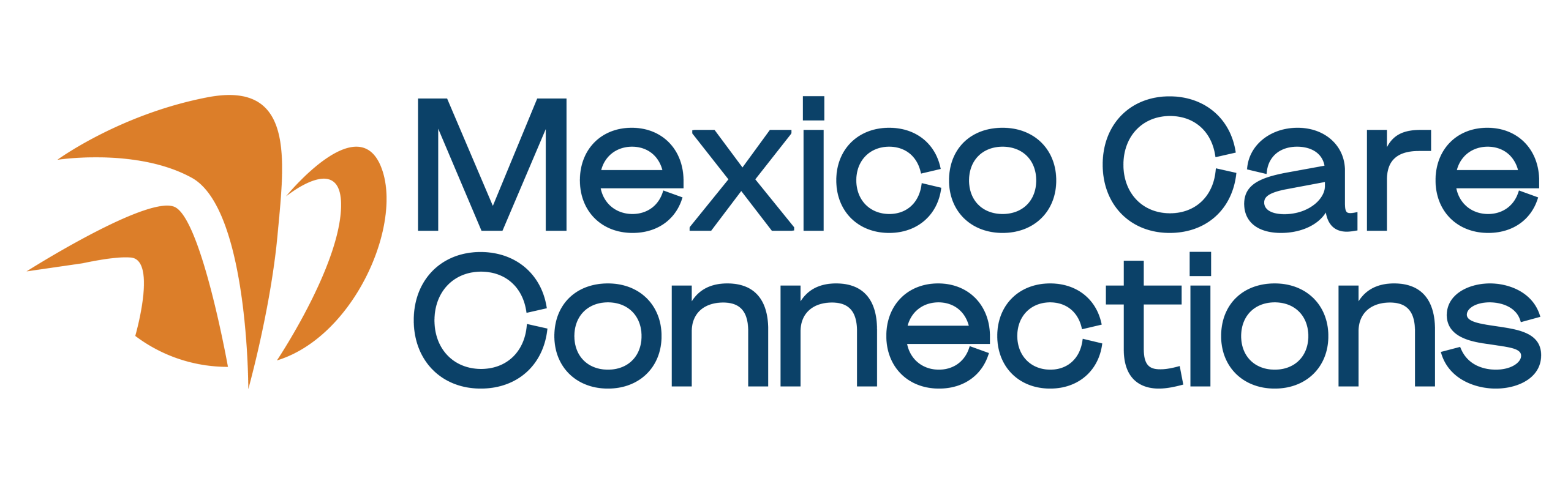MÉXICO CARE CONNECTIONS